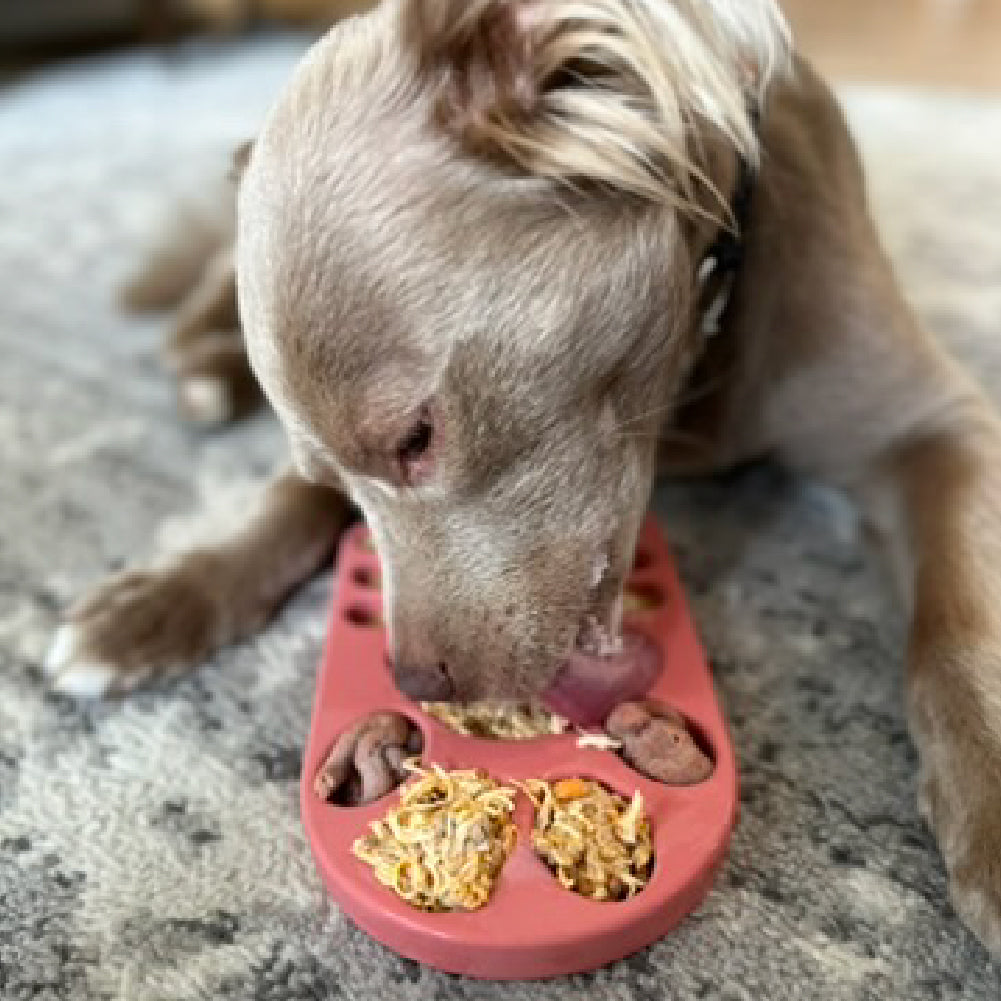 FreezPaw Mat - Calming Slow Feeder