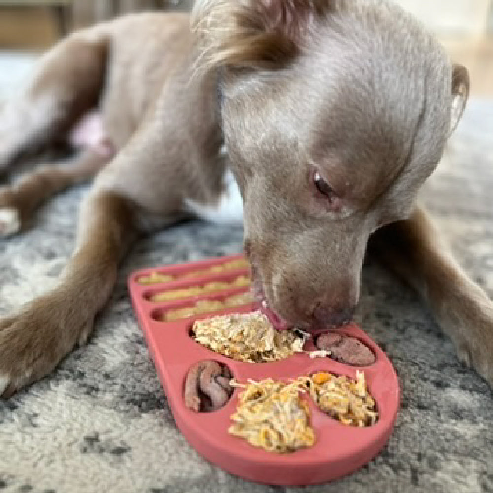 FreezPaw Mat - Calming Slow Feeder