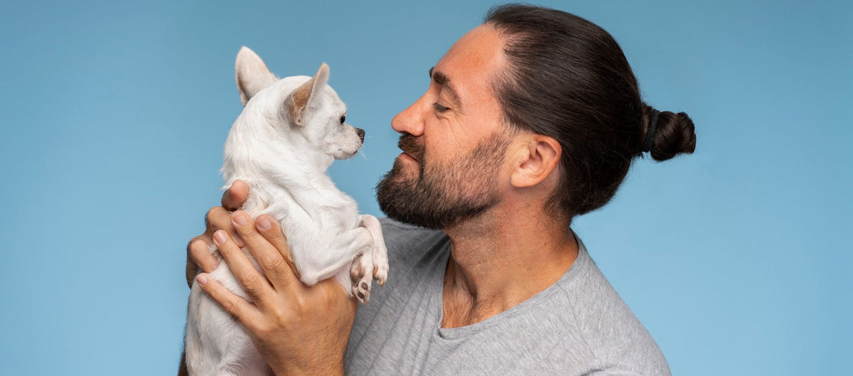 So You're a Dog Dad Now: A First-Timer's Guide to Life With Your New Dog