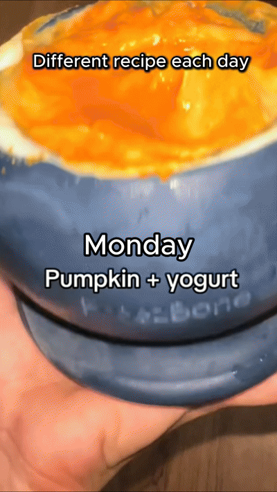 Meal Prep Sunday: How to Batch-Freeze 7 Days of Enrichment in 10 Minutes?