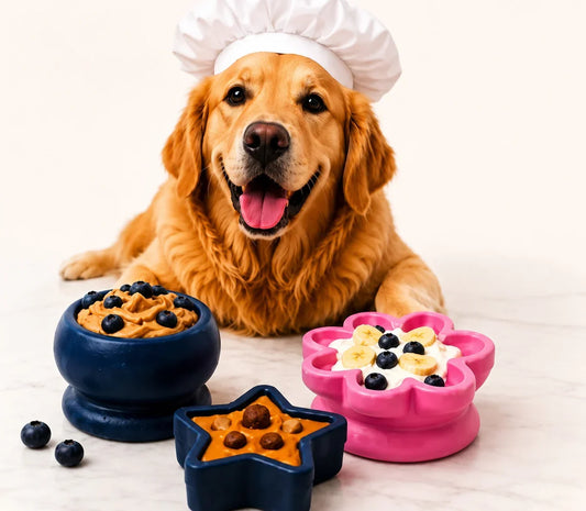 Indestructible Dog Chew Toy: What Aggressive Chewers Actually Need