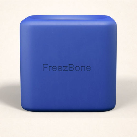 Freezbox - Super Tough Treat Toy