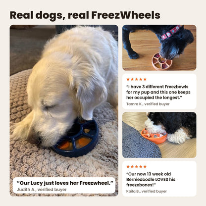 FreezWheel with real dogs: a golden retriever licking a navy FreezWheel, and two dogs licking orange FreezWheels. Reviews from Judith A., Tamra K. and Kaila B.
