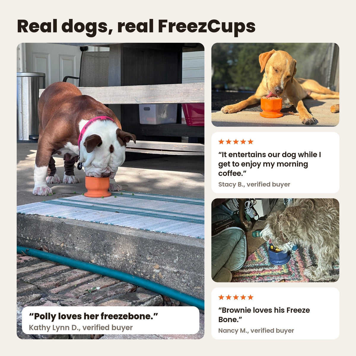 FreezCup with real dogs: a bulldog and a yellow dog licking orange FreezCups, and a terrier at a navy FreezCup. Reviews from Kathy Lynn D., Stacy B. and Nancy M.