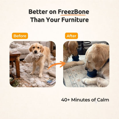 Freezball - Durable Fillable Dog Chew Bone