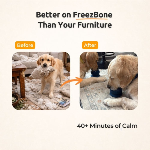 Freezball - Durable Fillable Dog Chew Bone