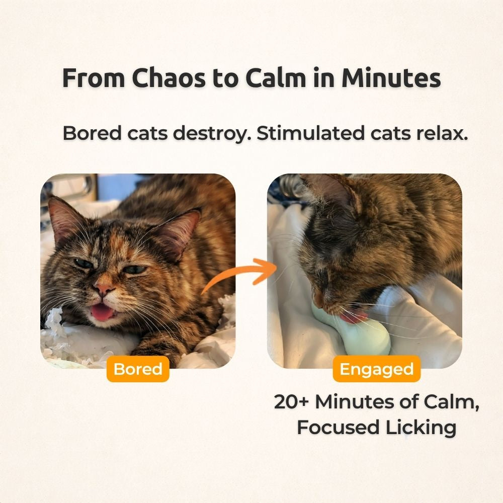 FreezWhisk Cat Calm Feed Bowl