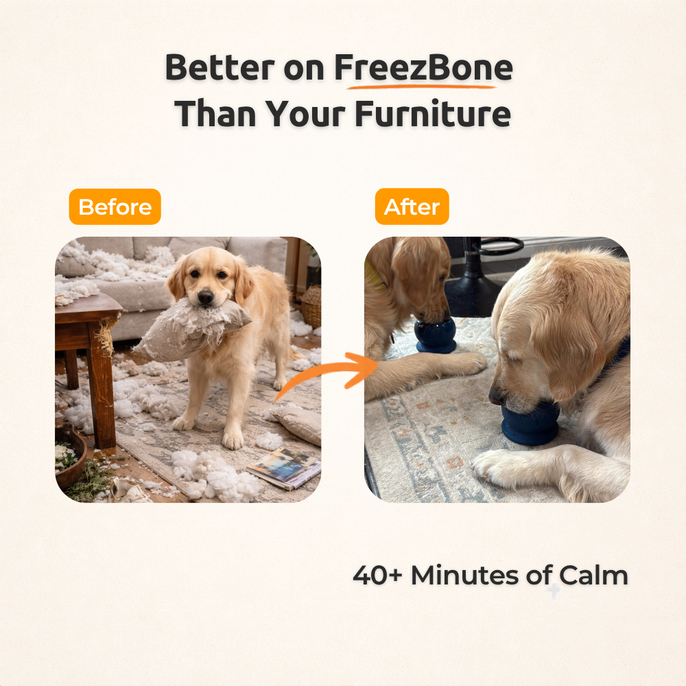 FreezWheel - Durable Interactive Chew