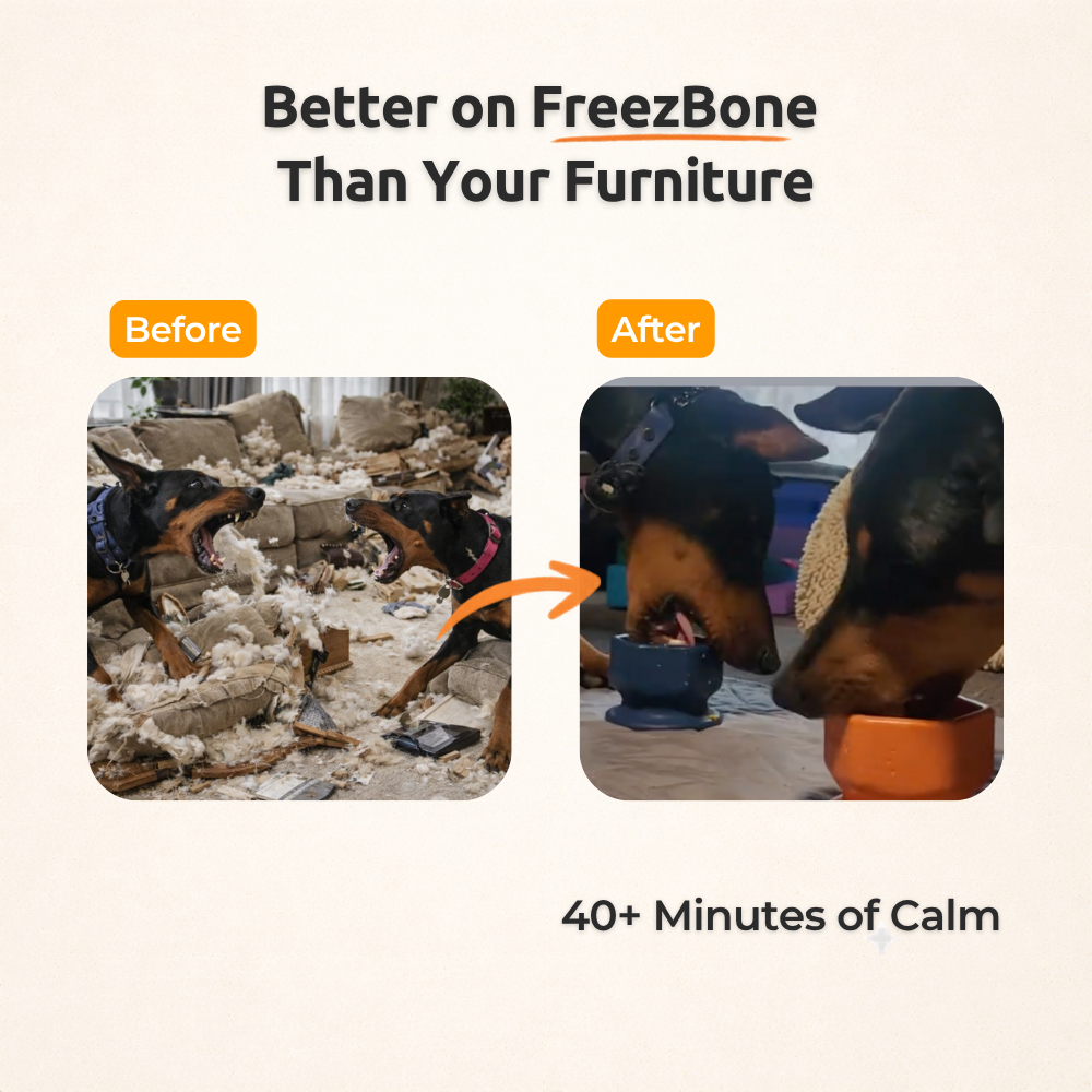 FreezCup - Long-Lasting Chew Fun