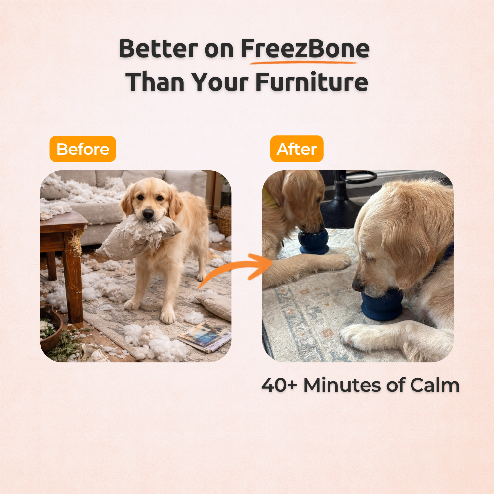 FreezBall Bundle — Best value on the most-loved bones