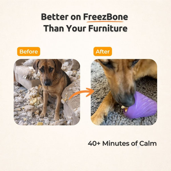 FreezCone – The Ice-Cream–Shaped Enrichment Dogs Can’t Put Down