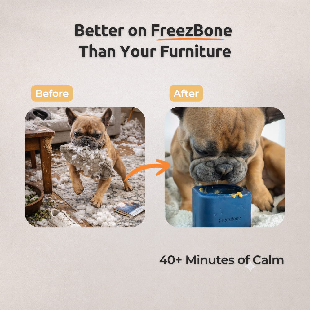 Tough Chewer Bundle - Extra-thick natural rubber for power chewers