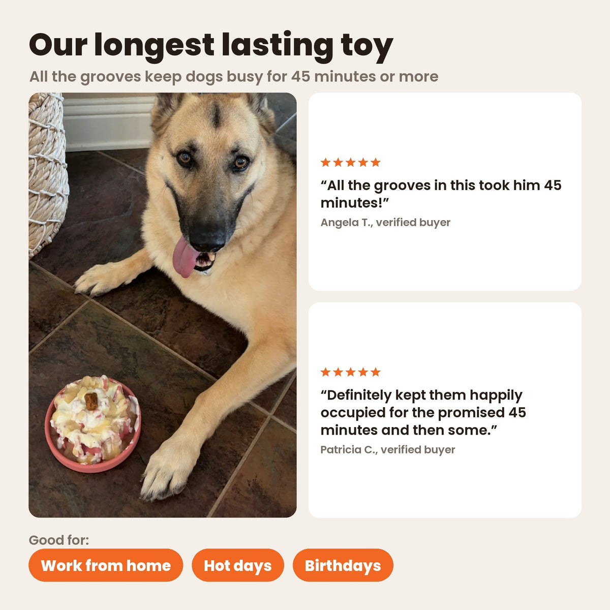 FreezLava, our longest lasting toy: a German Shepherd next to a filled coral FreezLava, with reviews from Angela T. and Patricia C. about 45 minutes. Good for work from home, hot days and birthdays