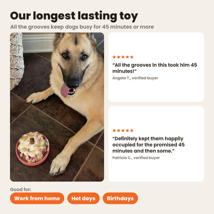FreezLava, our longest lasting toy: a German Shepherd next to a filled coral FreezLava, with reviews from Angela T. and Patricia C. about 45 minutes. Good for work from home, hot days and birthdays