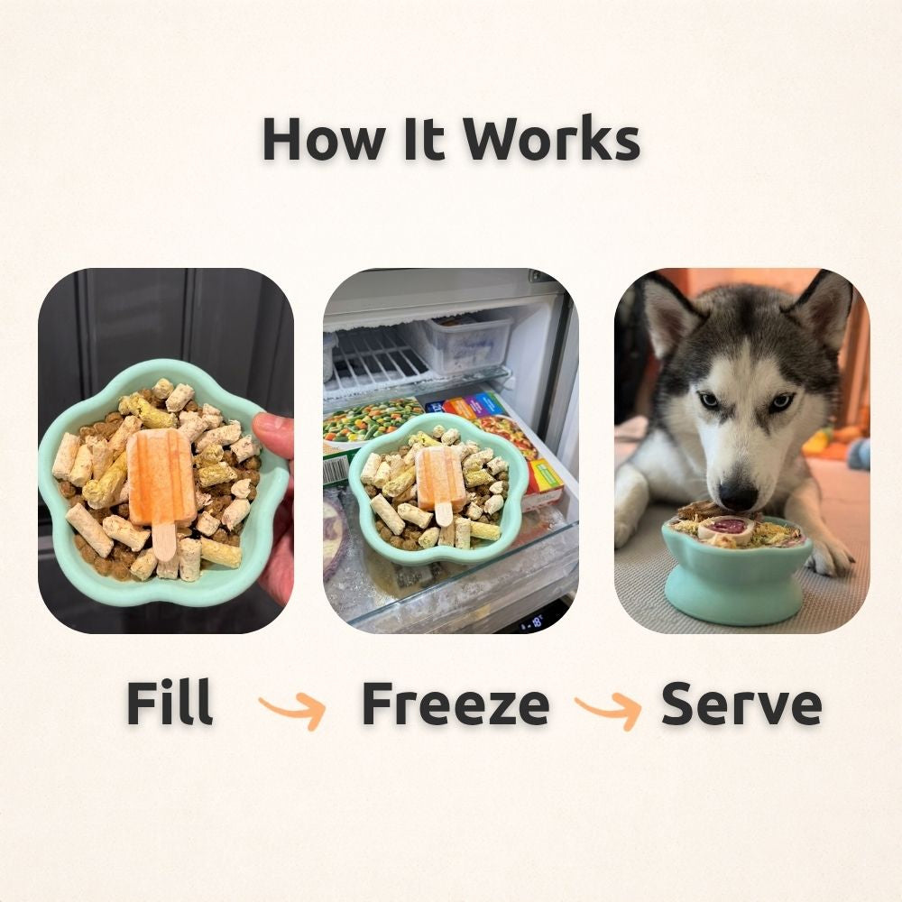 Freezflower Cup -  Frozen Treat Cup for Calm, Happy Dogs