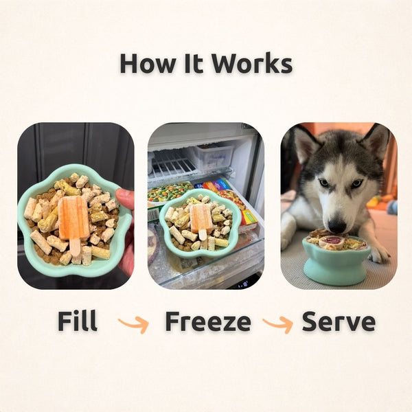 Freezflower Cup -  Frozen Treat Cup for Calm, Happy Dogs