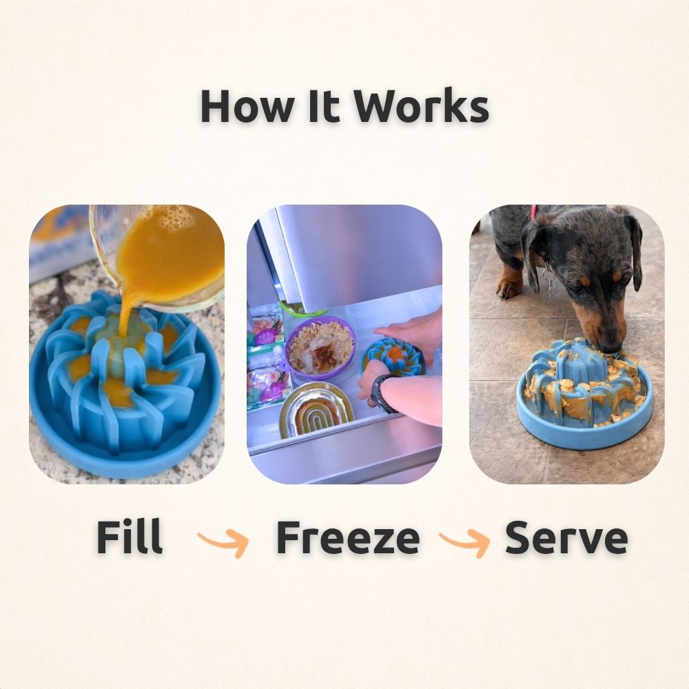 How it works: fill the FreezLava, freeze it, then serve