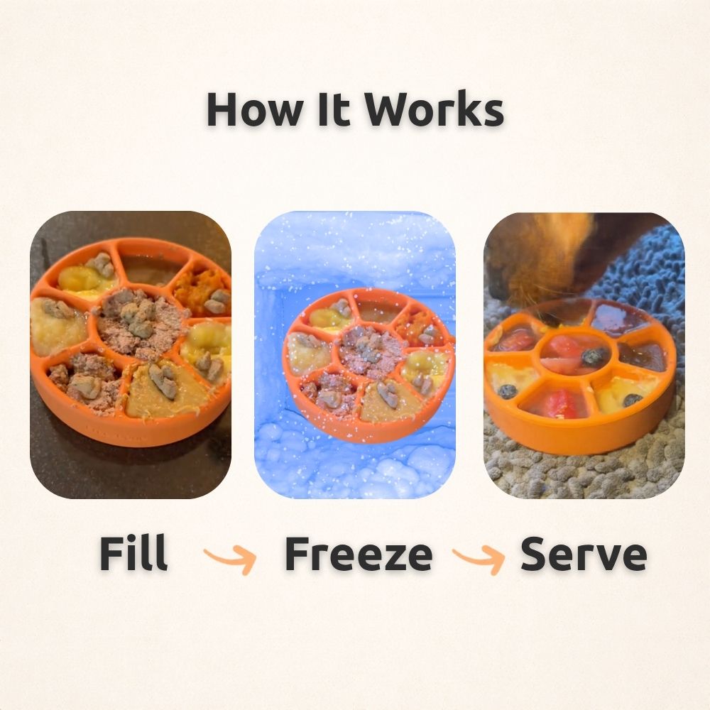 How it works: fill the FreezWheel, freeze it, then serve