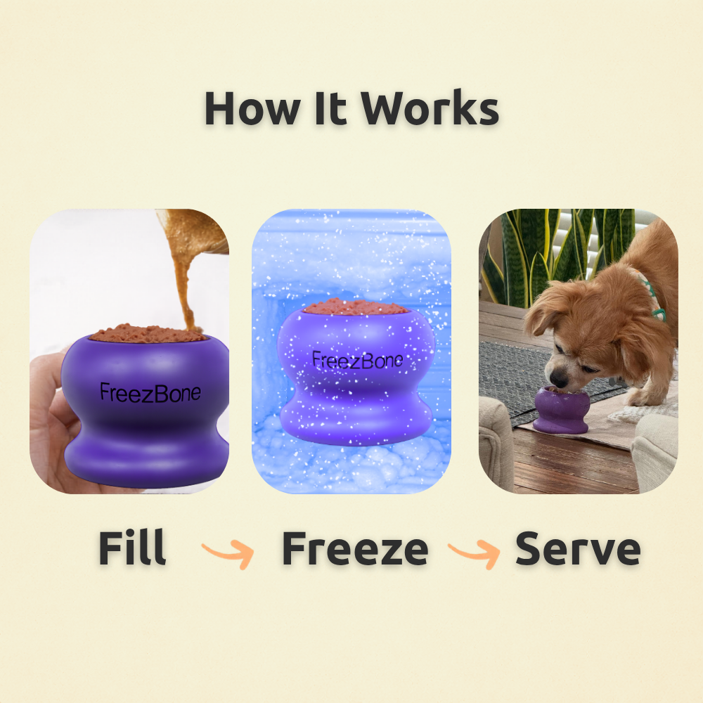 FreezBall Bundle  - Starter Pack