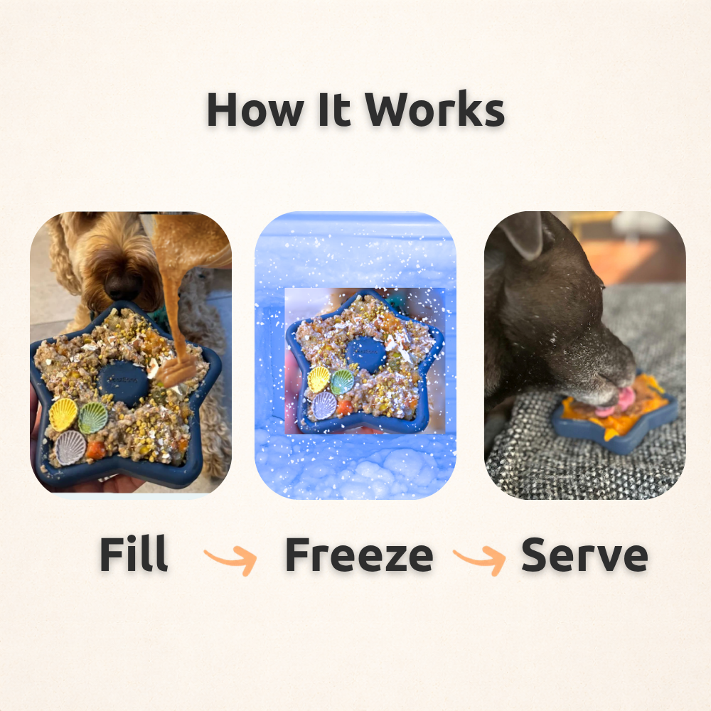 FreezStar - Long-Lasting Star Chew