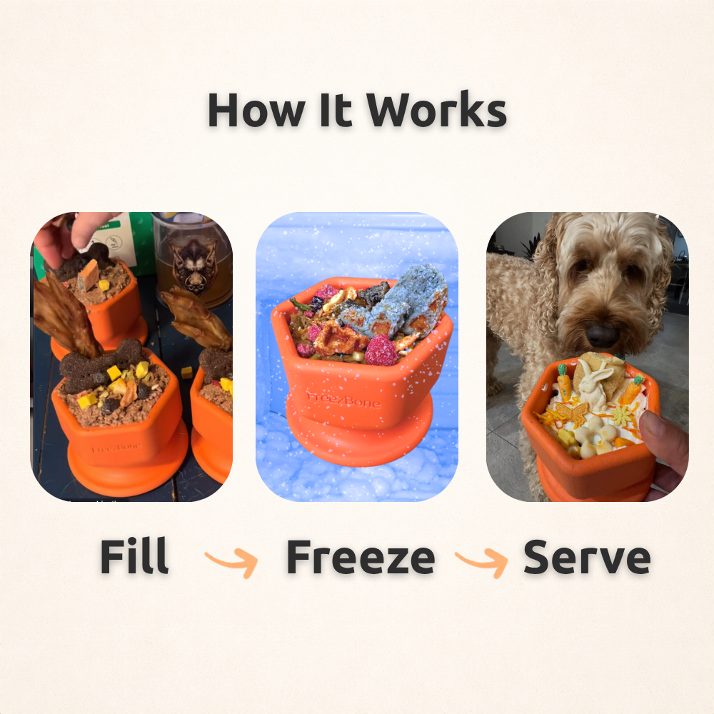 FreezCup - Long-Lasting Chew Fun