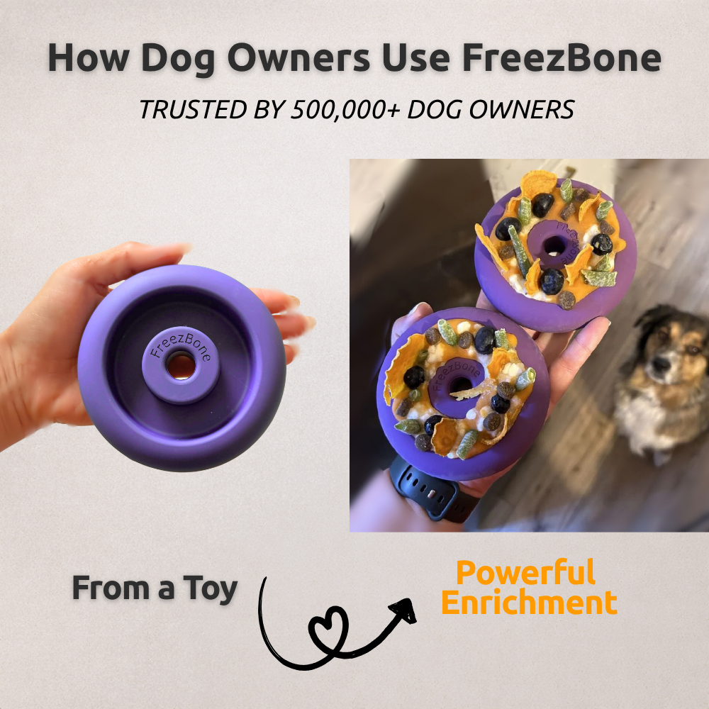 Tough Chewer Bundle - Extra-thick natural rubber for power chewers