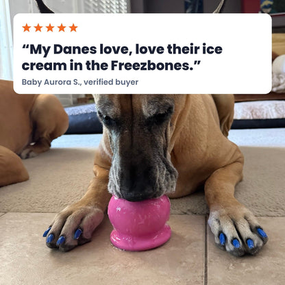 A Great Dane licking a pink FreezBall on the floor. Review: My Danes love, love their ice cream in the Freezbones.