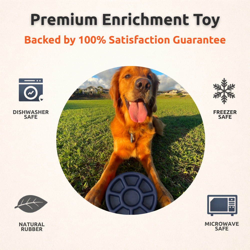 FreezWheel - Durable Interactive Chew