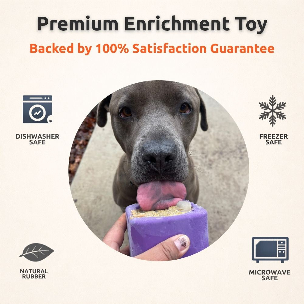 Freezbox - Super Tough Treat Toy