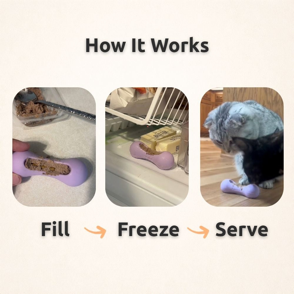 FreezWhisk Cat Calm Feed Bowl