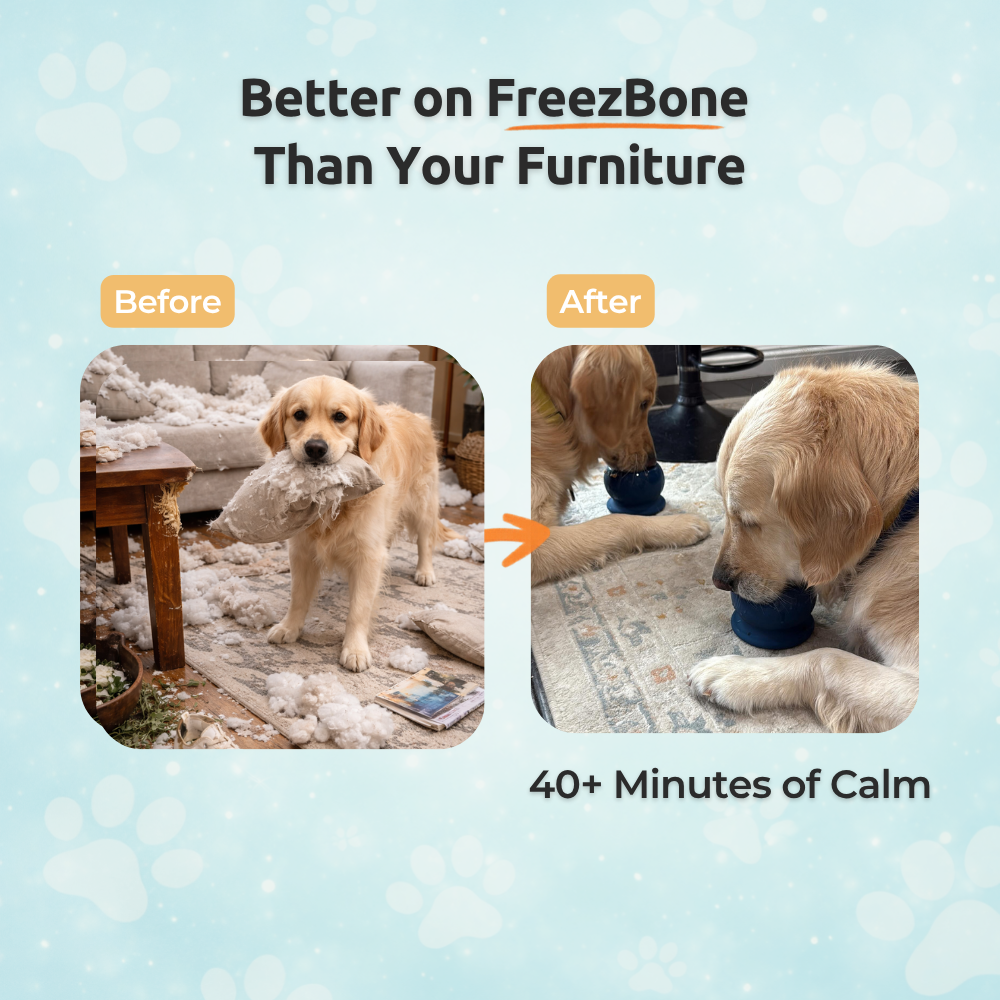 Family Value Bundle - Best Value for Multi-Dog Homes