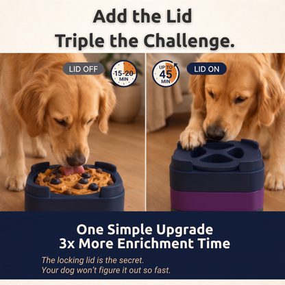 FreezBrick Tough - Stackable Frozen Treat Toy for Dogs