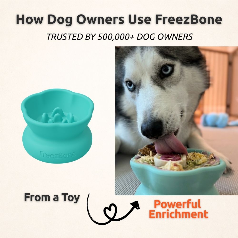 Freezflower Cup -  Frozen Treat Cup for Calm, Happy Dogs