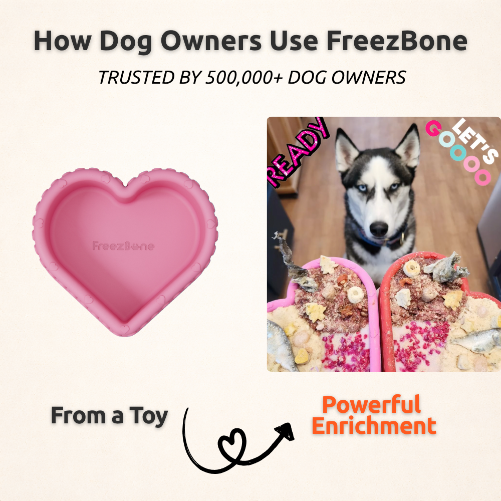 FreezHeart - Durable Heart Enrichment Chew