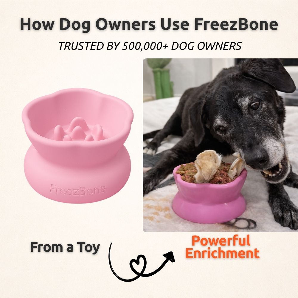 Freezflower Cup -  Frozen Treat Cup for Calm, Happy Dogs