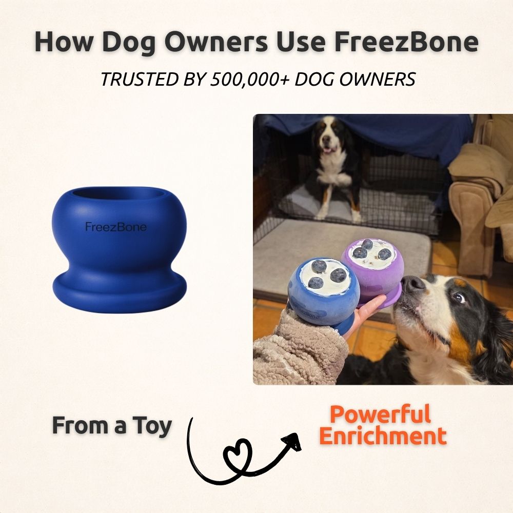 Freezball - Durable Fillable Dog Chew Bone