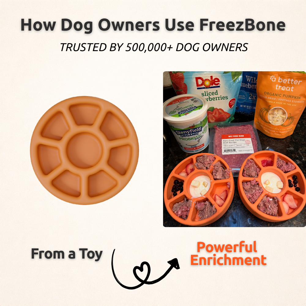 FreezWheel - Durable Interactive Chew