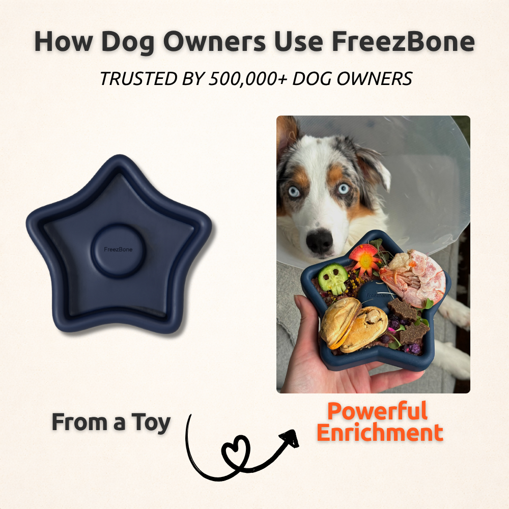 FreezStar - Long-Lasting Star Chew
