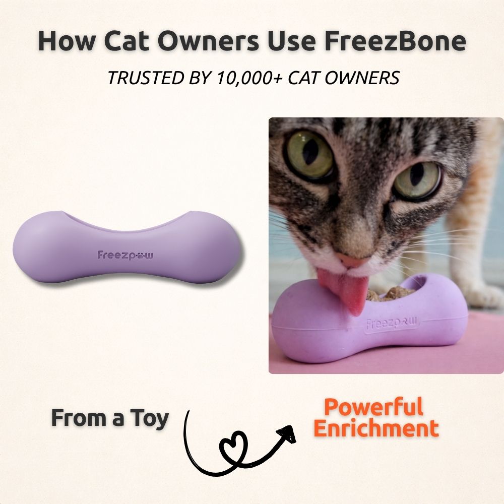 FreezWhisk Cat Calm Feed Bowl