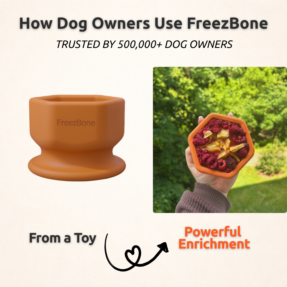 FreezCup - Long-Lasting Chew Fun