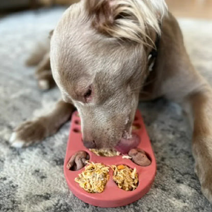 The Favorite Bundle: 3 Tough Bones Dogs Can’t Get Enough Of
