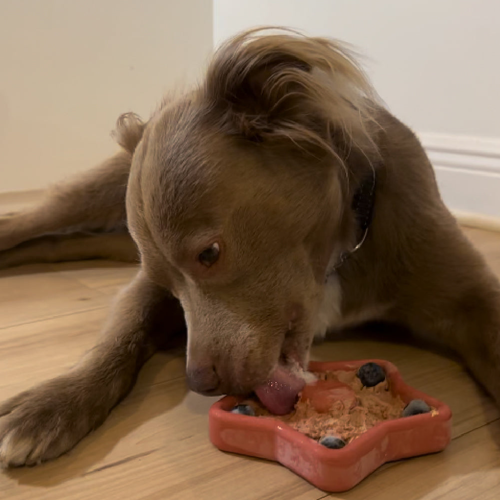 The Favorite Bundle: 3 Tough Bones Dogs Can’t Get Enough Of