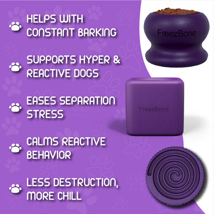 Purple Playtime Dog Trio Bundle