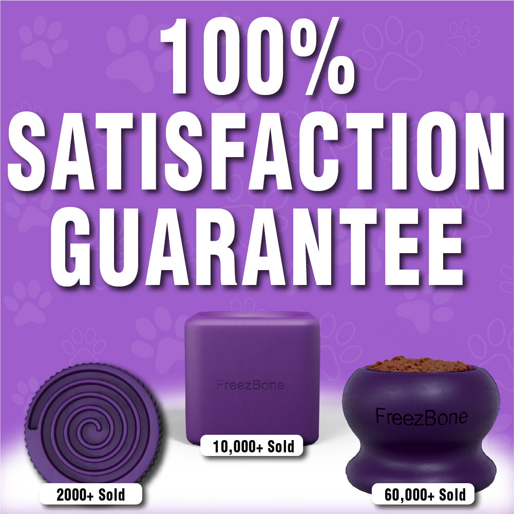 Purple Playtime Dog Trio Bundle