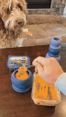 A customer video still with Family Value Bundle toys