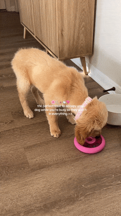 A customer video still with Family Value Bundle toys