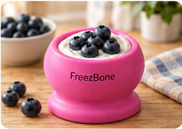 FreezBall filled with plain yogurt and blueberries