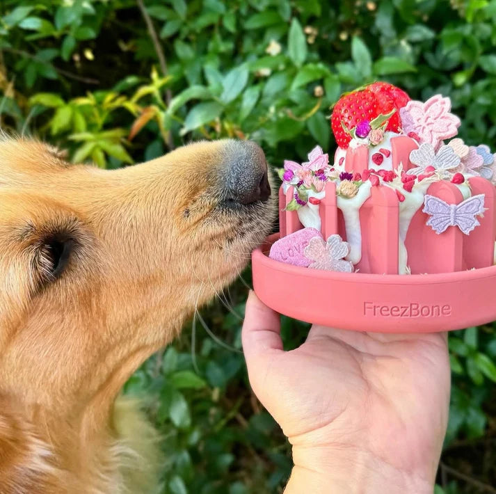 Alt Image