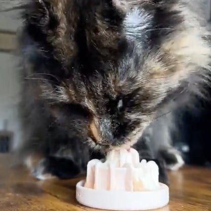 FreezPaw Ultimate Pack – Cat Enrichment Bundle of 5 Products