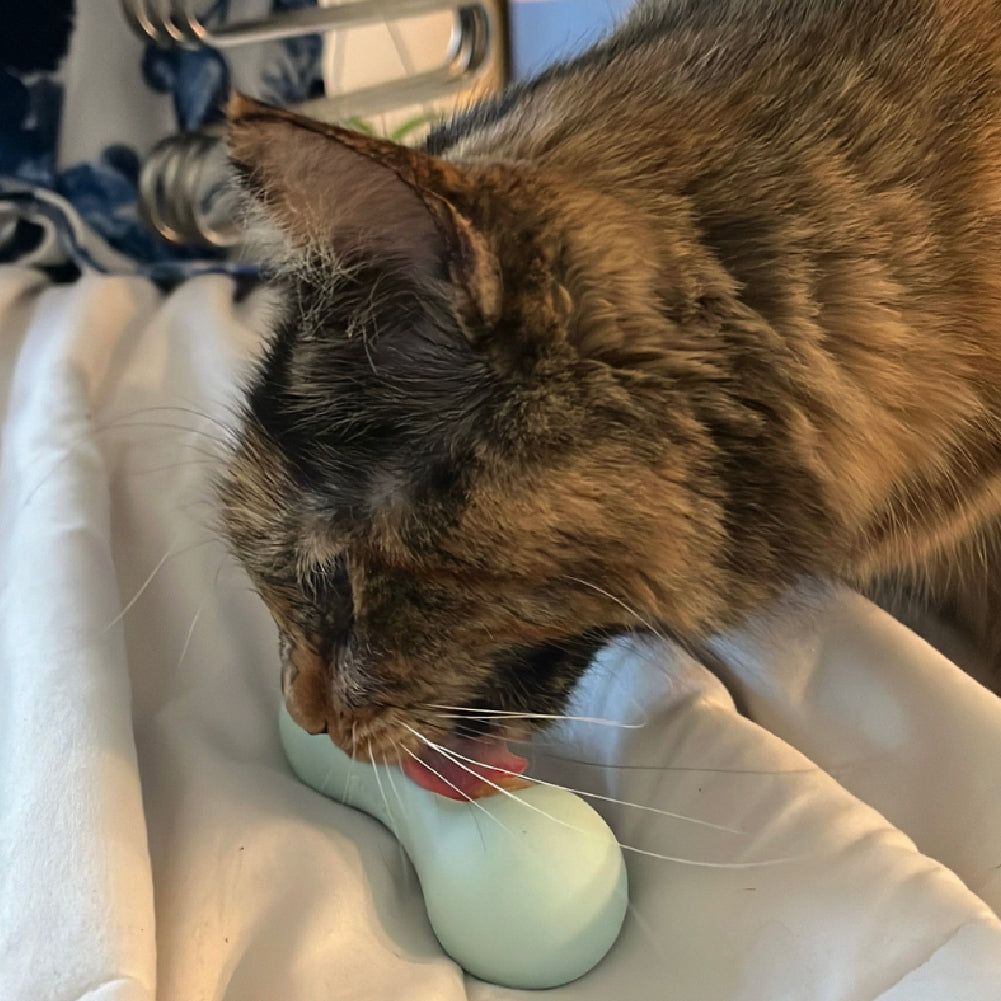 FreezPaw Starter Pack – Cat Enrichment Bundle of 3 Products
